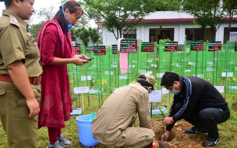 DC Mokokchung, Limawabang Jamir planting a tree sapling at the District Forest Office premise in Mokokchung during World Environment Day on June 5.